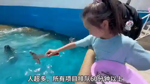 海洋王国新手阵容搭配(小小航海士后期最强阵容)插图1