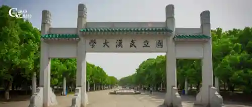 武大阵容搭配装备(武科大王牌专业有哪些)