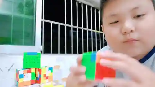 霸气五黑阵容搭配图片(双人小小黑真蛇阵容)插图2