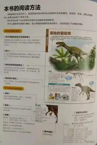 50种恐龙名称和图片(十大最著名恐龙)插图2