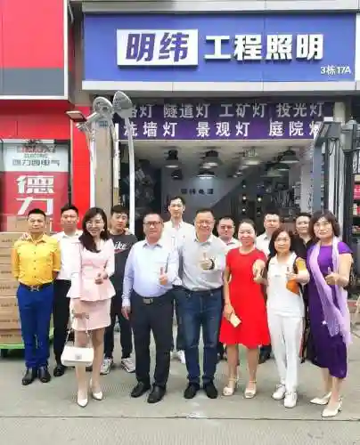 夜兰亚阵容搭配(邪月主C阵容)
