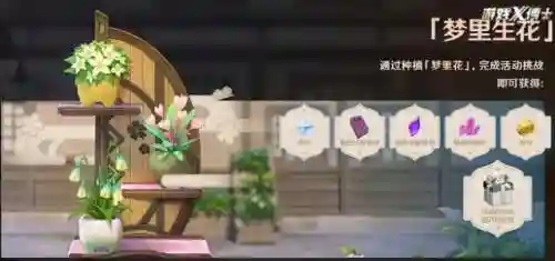 雷电将军双打阵容搭配(口袋妖怪双打阵容)插图18
