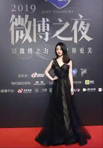星光红毯阵容搭配图片(明星红毯造型图片)插图17