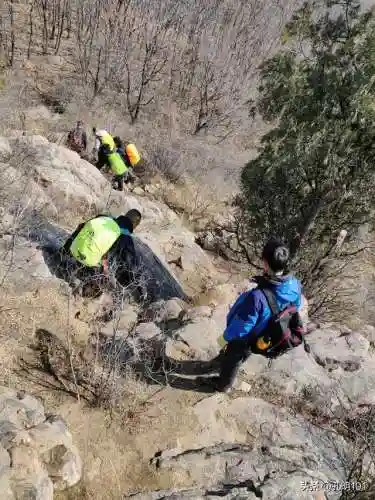仙境游记推荐阵容搭配(歧路旅人2阵容搭配)插图28