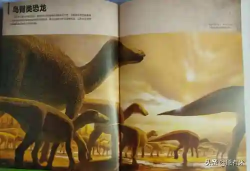 50种恐龙名称和图片(十大最著名恐龙)插图8