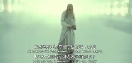 中文版霍格沃茨分院比例测试(wizardingworld分院测试)插图15