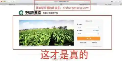 中烟新商盟网上订烟平台(新商盟卷烟订货商务平台背景介绍)插图5