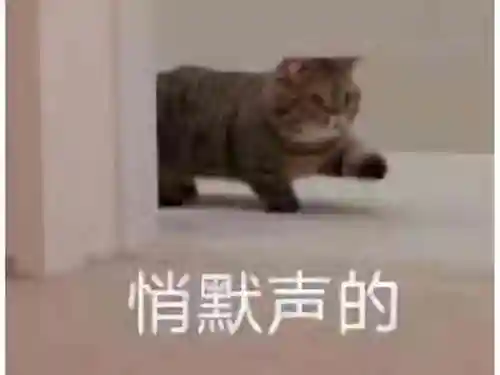 2022白嫖传奇手游平台(1.76传奇手游)插图27