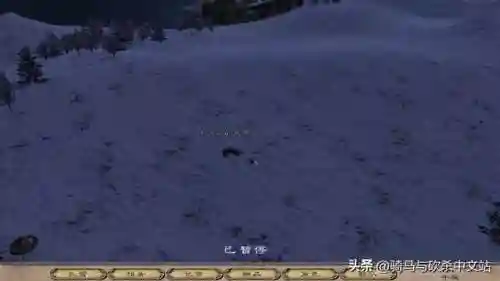 骑马与砍杀战团隐藏商店(骑马与砍杀战团最佳妻子)插图3