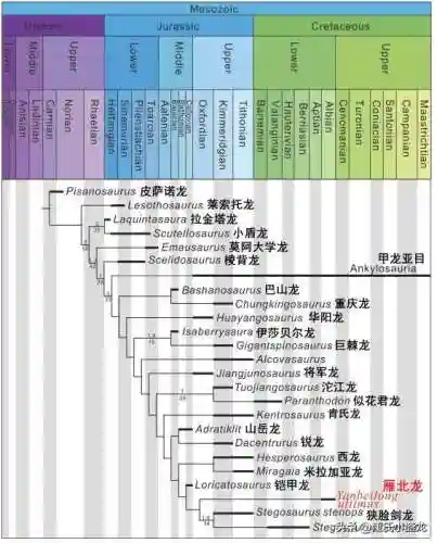 中国最后一只恐龙(中国拍到活的霸王龙)插图8