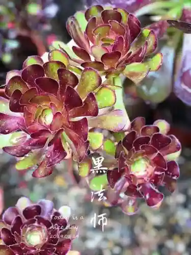 法师最牛最霸气名字(一眼就看出是玩法师的ID)插图17