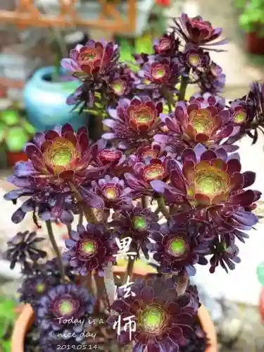 法师最牛最霸气名字(一眼就看出是玩法师的ID)插图15