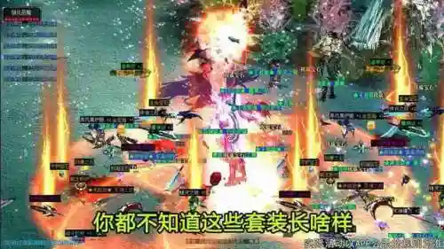 木瓜奇迹战士怎么加点(木瓜奇迹怀旧版各职业加点)插图4