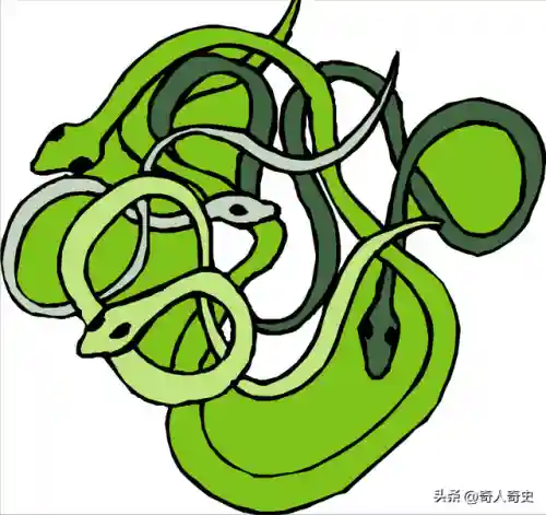 中国八三年蛇灾(83蛇灾最后是谁解决的)