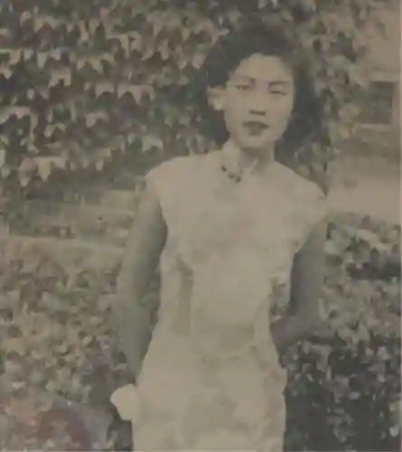 狐狸姐姐阵容搭配图鉴(云顶之弈狐狸最强阵容)插图4