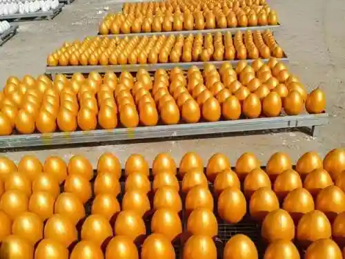 一天能赚2万的黑方法(急需30万最好的办法)插图5