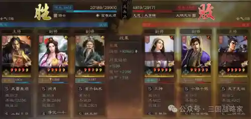 貂蝉的完美阵容搭配(貂蝉和哪个英雄配合好)插图10