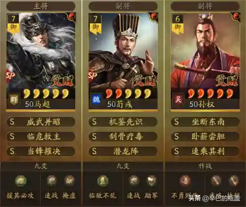 孙权完美阵容搭配最新攻略(满红孙权的最强阵容搭配)