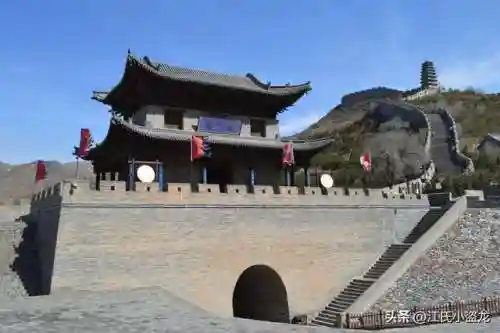中国最后一只恐龙(中国拍到活的霸王龙)插图6