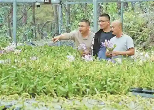 闪烁之光新春阵容搭配(闪烁之光后期阵容推荐)