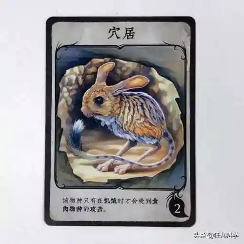 生物进化游戏(类似物种起源的进化游戏)插图10