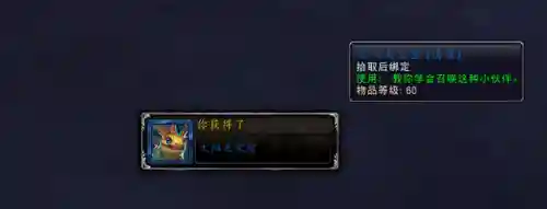 魔兽战斗宠物阵容搭配(魔兽世界宠物对战最强组合)插图33