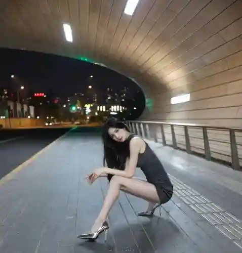 霓裳之夜阵容搭配图鉴(北京女子图鉴穿衣搭配)插图5