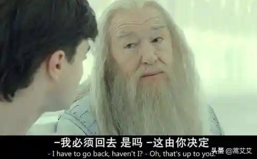 阿瓦达索命咒怎么念(阿瓦达啃大瓜)插图10