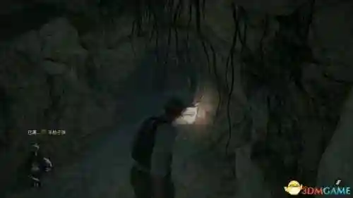 鬼屋魔影4(ps5鬼屋魔影攻略图文)插图156