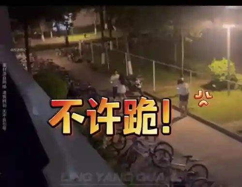 纯爱战士阵容搭配图(碧蓝航线t0阵容)插图11