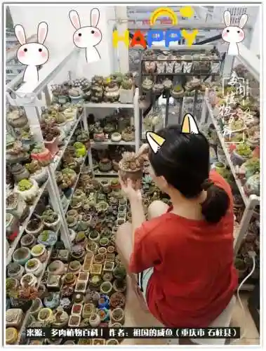 咸鱼推土阵容搭配图(闲鱼付费推广)