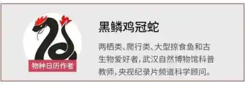 虐杀原形从成为祖宗(从虐杀原形开始无敌诸天笔趣阁)插图11