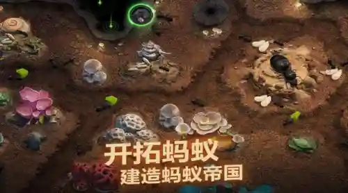 小小蚁国锯齿阵容搭配(小小蚁国平民特化蚁搭配)插图1