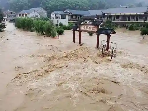 中国八三年蛇灾(83蛇灾最后是谁解决的)插图5