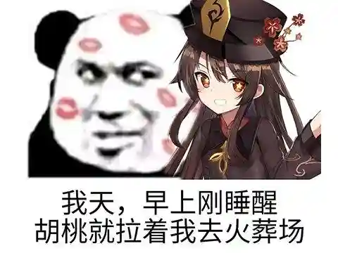 雷电将军双打阵容搭配(口袋妖怪双打阵容)插图2