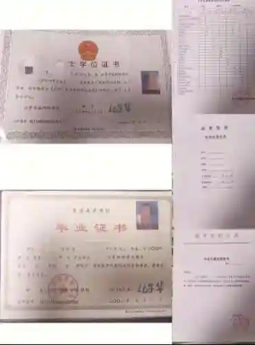 当书网新域名叫什么(当书网bookdown)