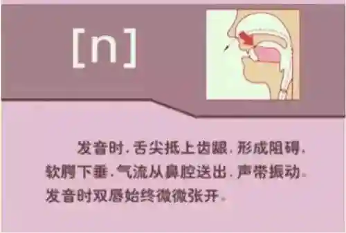 英语音标发音表(48个音标大全表图片)插图51
