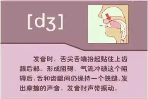 英语音标发音表(48个音标大全表图片)插图47