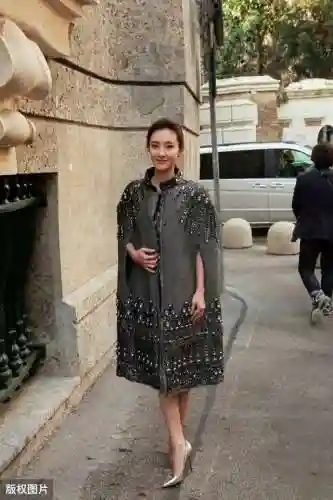 宫廷斗篷搭配阵容推荐(宫廷计最强阵容搭配)插图3