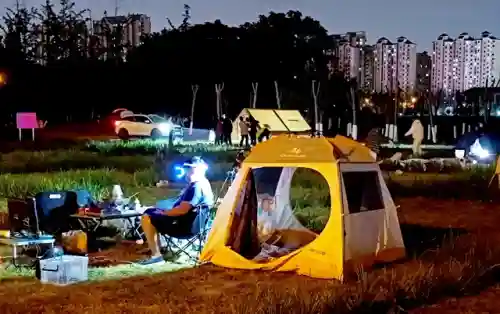 野外篝火怎么搭配阵容(乱斗西游篝火最佳阵容)插图1