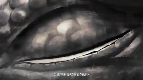 仙舟主线任务阵容搭配(仙舟竞速最强阵容搭配)插图5