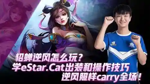 貂蝉逆风局搭配阵容(咸鱼之王克制貂蝉的阵容)