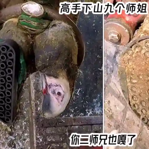 神龙霸体决(九星霸体诀TXT全本)