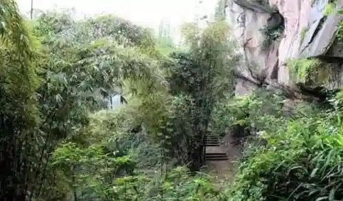 逗小猴开心之小木屋攻略(逗小猴开心全系列手机版)插图5