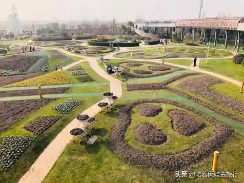 洛克王国紫藤快速获得(洛克王国紫藤150怎么弄)插图40