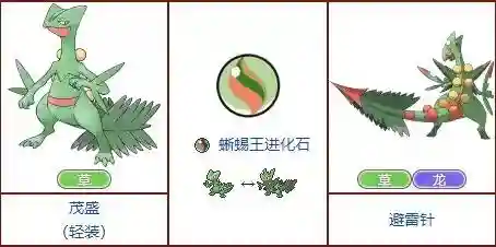 口袋妖怪始源蓝宝石金手指(3ds始源蓝宝石金手指对照)插图13