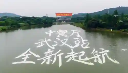 厨师怎么搭配阵容好看(最好看的厨师衣服图片)