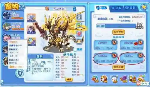 洛克王国宠物阵容搭配(洛克王国平民天梯阵容)插图2