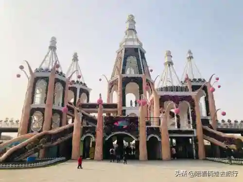 洛克王国紫藤快速获得(洛克王国紫藤150怎么弄)插图30
