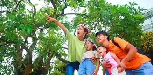 隐贤英雄阵容搭配(吕玲绮最强阵容搭配推荐)插图8